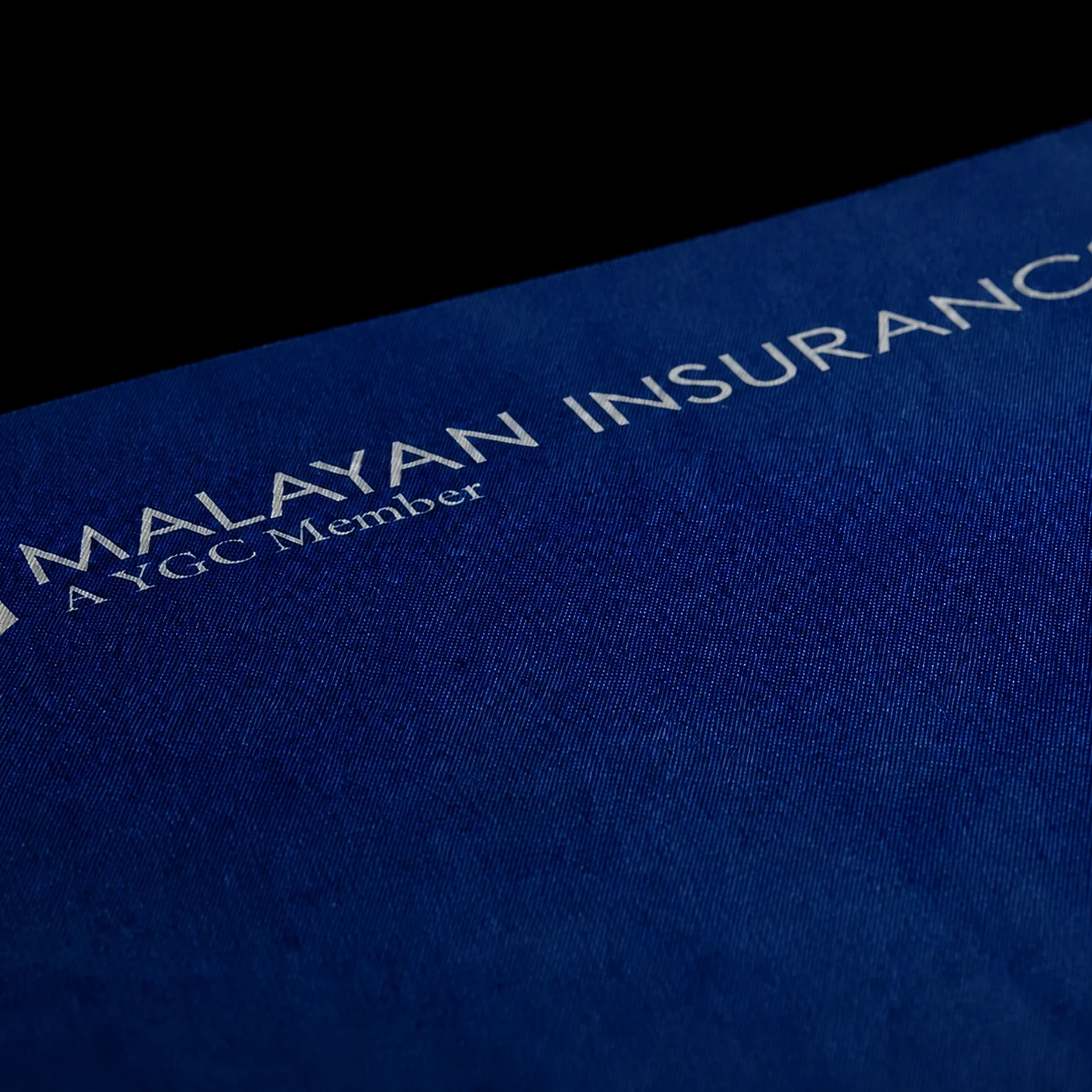 About Malayan Insurance